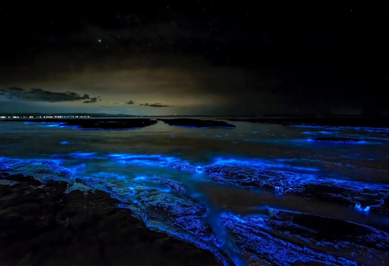 Her kan du se verdens mest lysende bioluminescerende tidevand