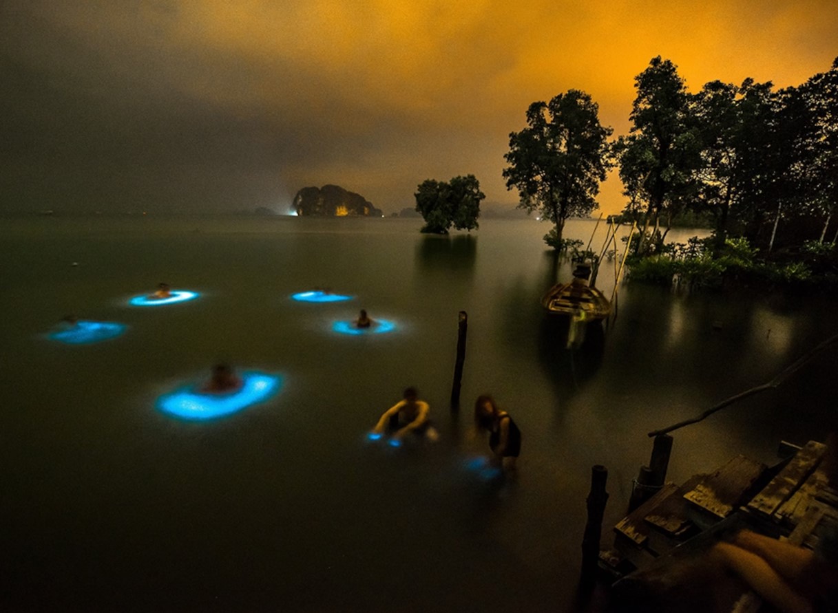 Her kan du se verdens mest lysende bioluminescerende tidevand