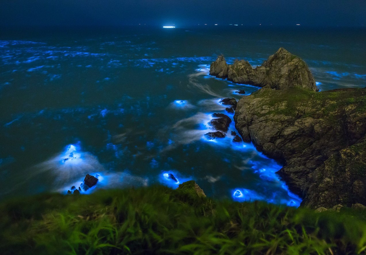 Her kan du se verdens mest lysende bioluminescerende tidevand