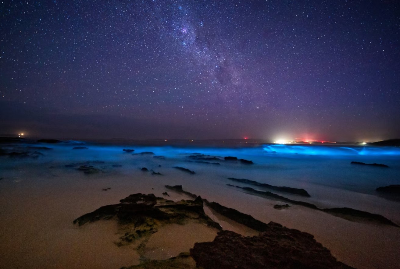 Her kan du se verdens mest lysende bioluminescerende tidevand