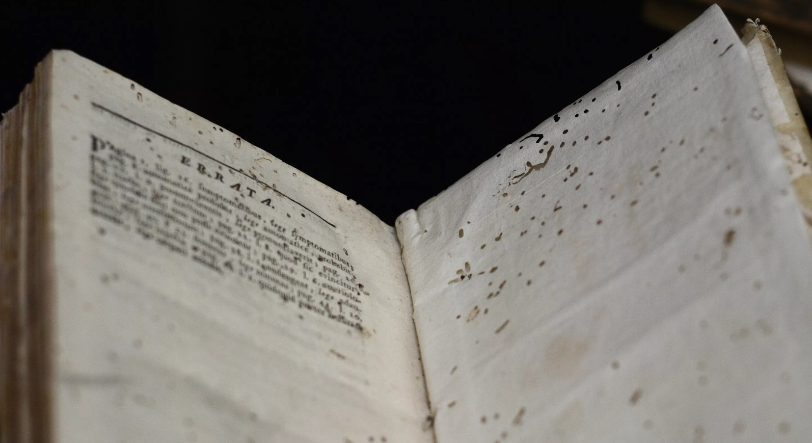 Ungarns ældste bibliotek kæmper for at redde 100.000 bøger fra et billeangreb