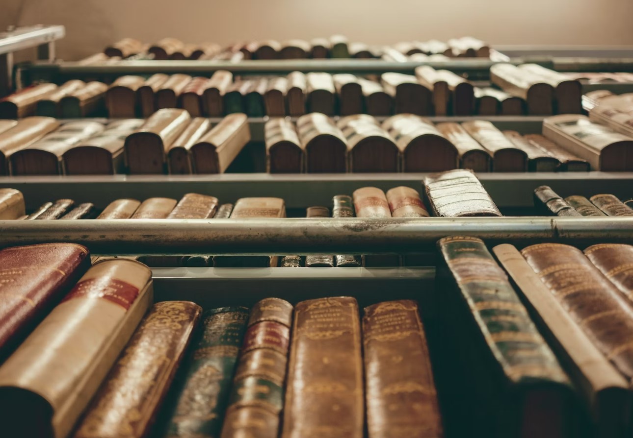 Ungarns ældste bibliotek kæmper for at redde 100.000 bøger fra et billeangreb