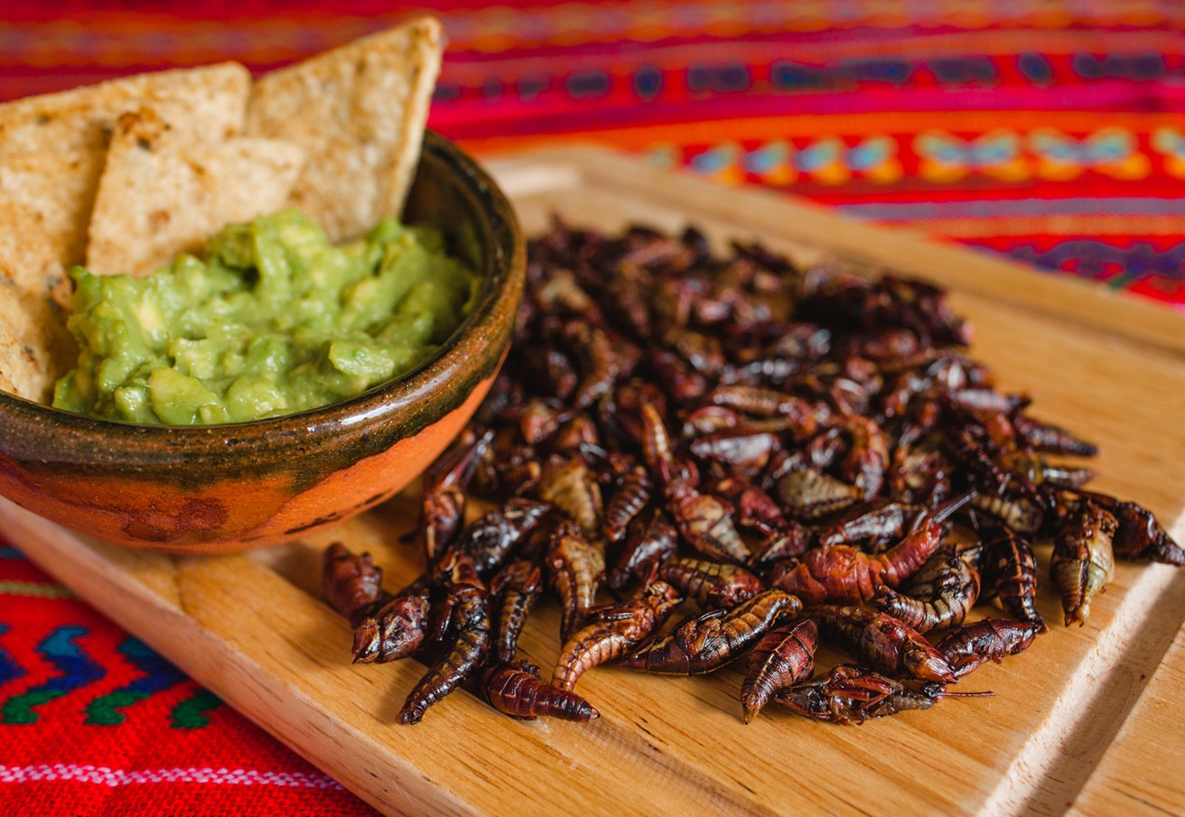 Stegte græshopper fra Mexico: hvor meget protein indeholder chapulines?