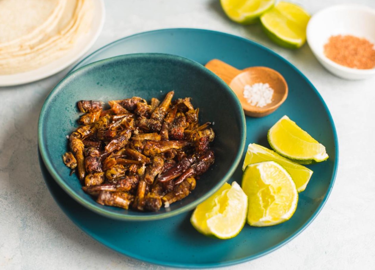 Stegte græshopper fra Mexico: hvor meget protein indeholder chapulines?