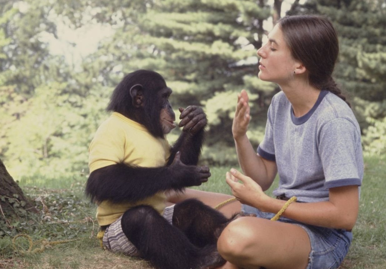 Tog Darwin fejl? Hvad er der galt med evolutionen, og hvorfor ændrer aberne sig ikke nu?