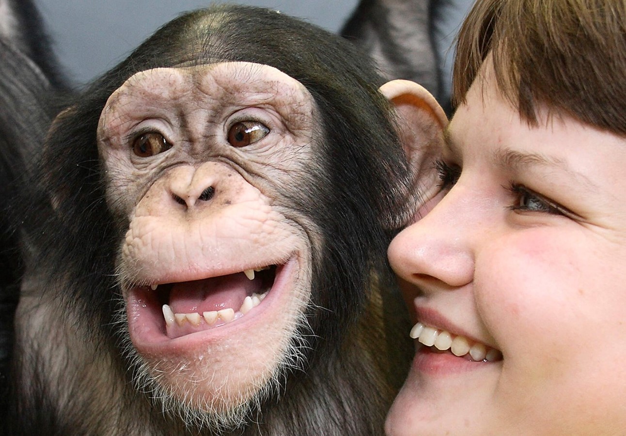 Tog Darwin fejl? Hvad er der galt med evolutionen, og hvorfor ændrer aberne sig ikke nu?