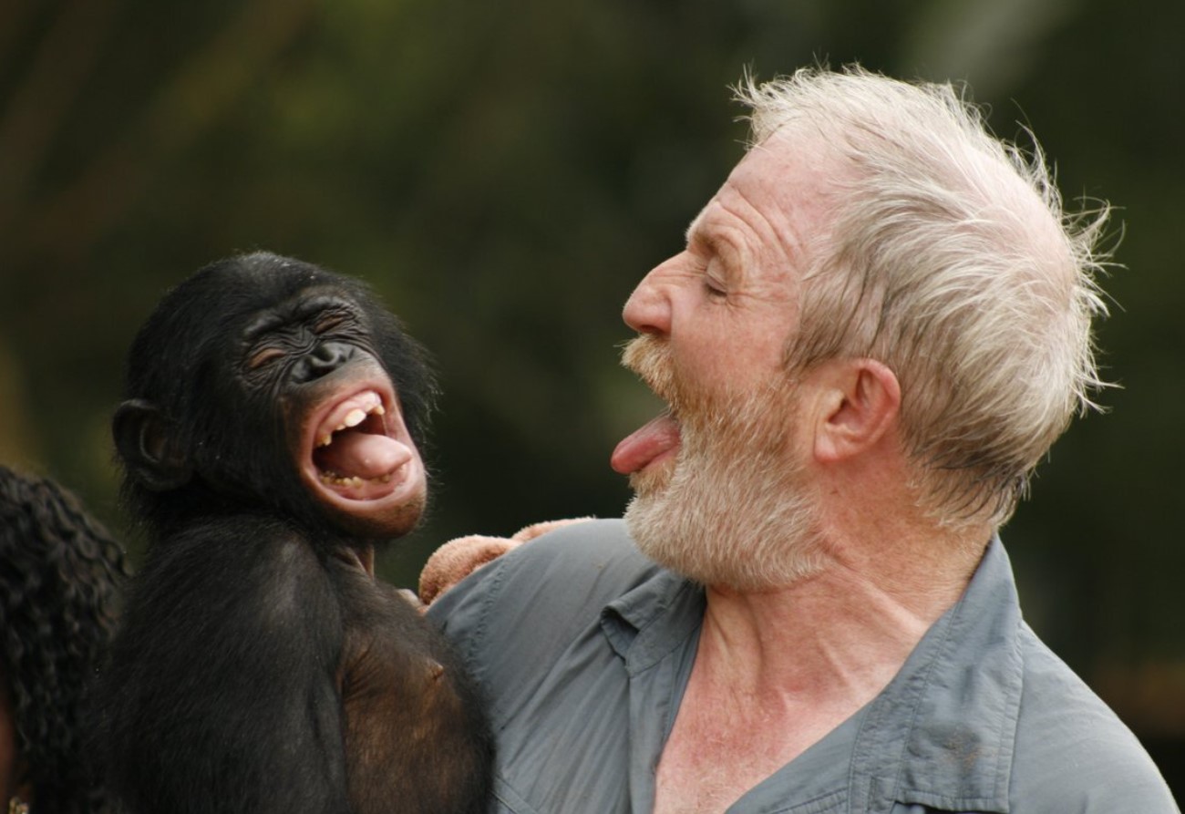 Tog Darwin fejl? Hvad er der galt med evolutionen, og hvorfor ændrer aberne sig ikke nu?