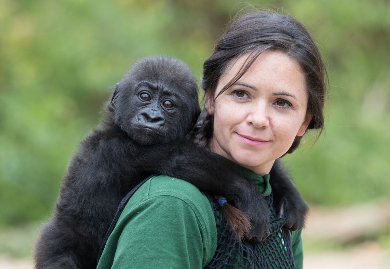 Tog Darwin fejl? Hvad er der galt med evolutionen, og hvorfor ændrer aberne sig ikke nu?