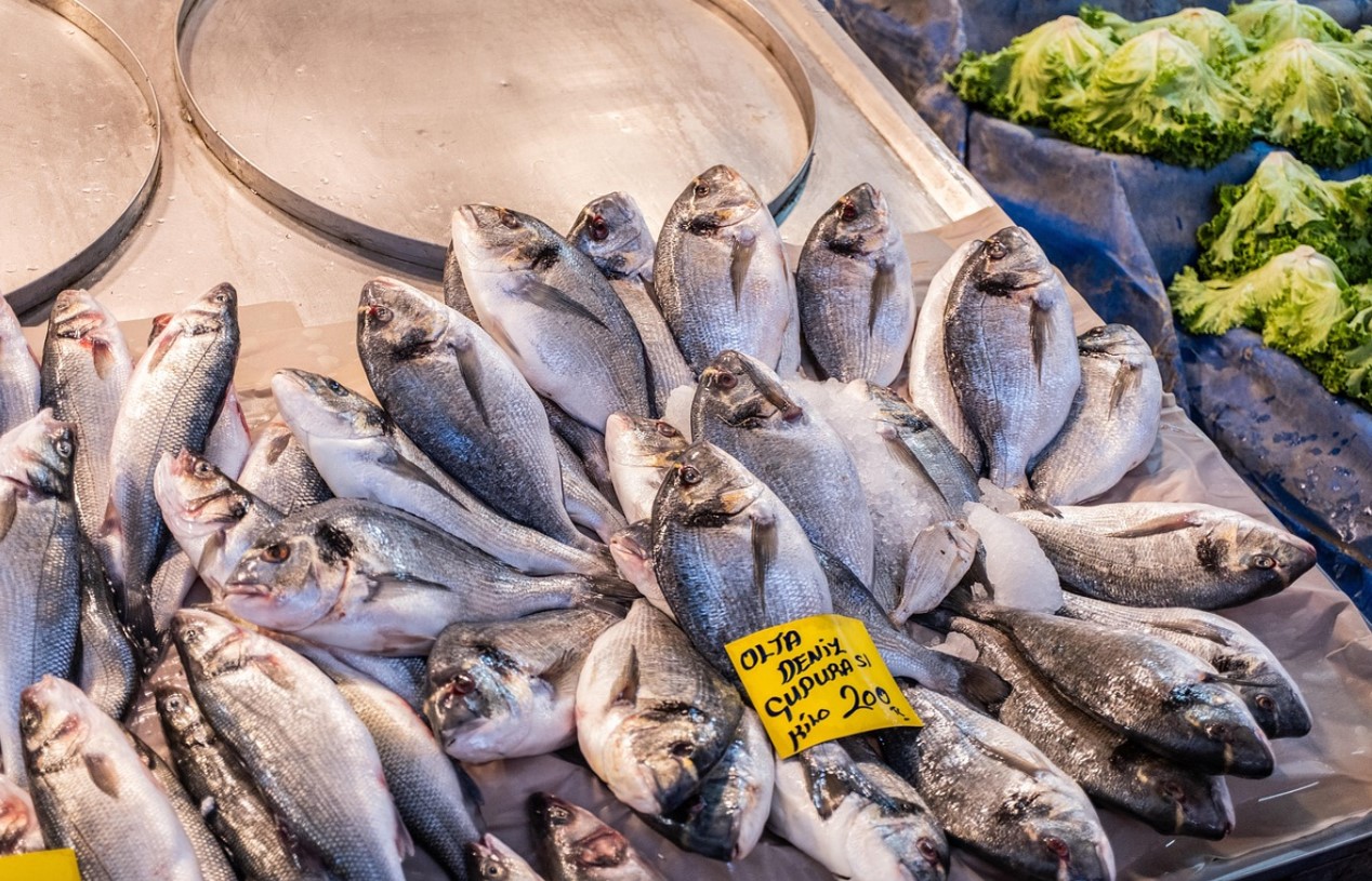 Havbars-overflod på Cypern - stormløb på fiskegrejbutikker