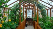 Sådan sætter du en polytunnel eller et drivhus op til planter: tips til havearbejde