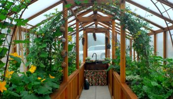 Sådan sætter du en polytunnel eller et drivhus op til planter: tips til havearbejde