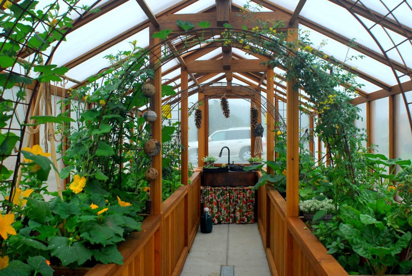 Sådan sætter du en polytunnel eller et drivhus op til planter: tips til havearbejde
