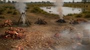 Neandertalerne byggede 'fedtfabrikker': undersøgelse finder ud af, hvad de havde brug for dem til