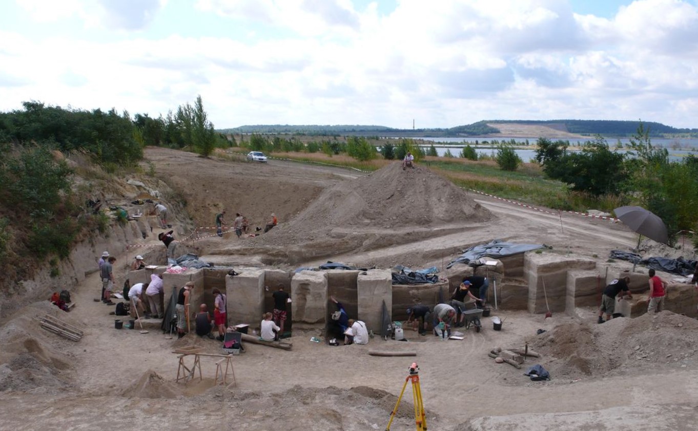 Neandertalerne byggede 'fedtfabrikker': undersøgelse finder ud af, hvad de havde brug for dem til