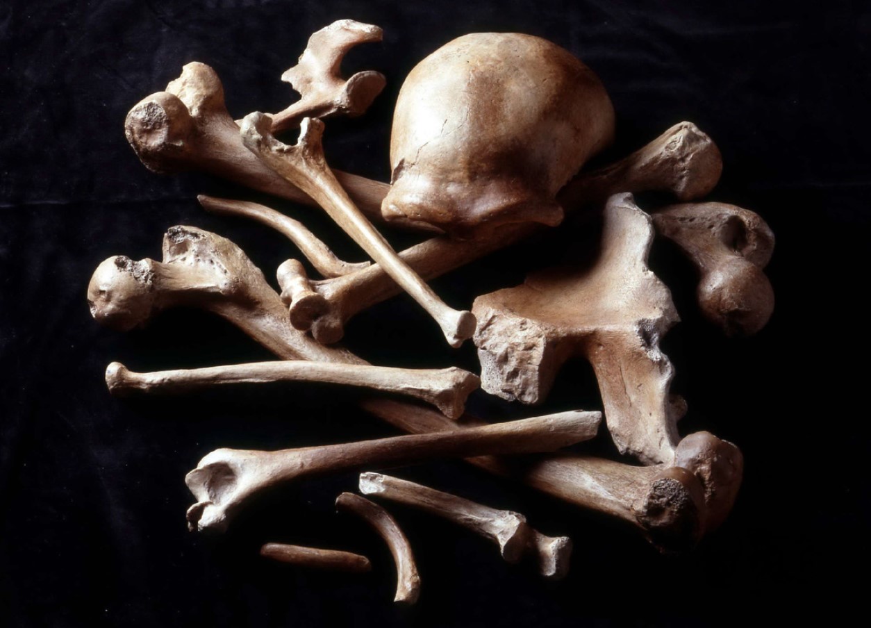 Neandertalerne byggede 'fedtfabrikker': undersøgelse finder ud af, hvad de havde brug for dem til