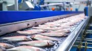 Rapport: den globale landbrugs- og fiskeproduktion vil vokse med 14 % inden 2034