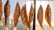 Sådan tørrer du fisk derhjemme