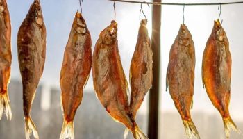 Sådan tørrer du fisk derhjemme