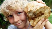 66 millioner år gammelt fossilt dyreopkast fundet i Danmark
