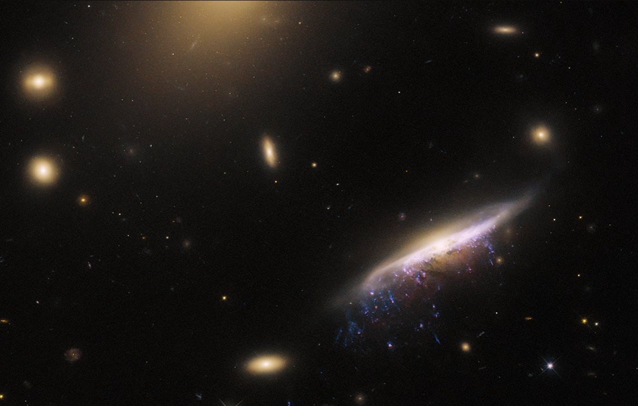 Astronomer opdager 'fossil galakse' 3 milliarder lysår væk