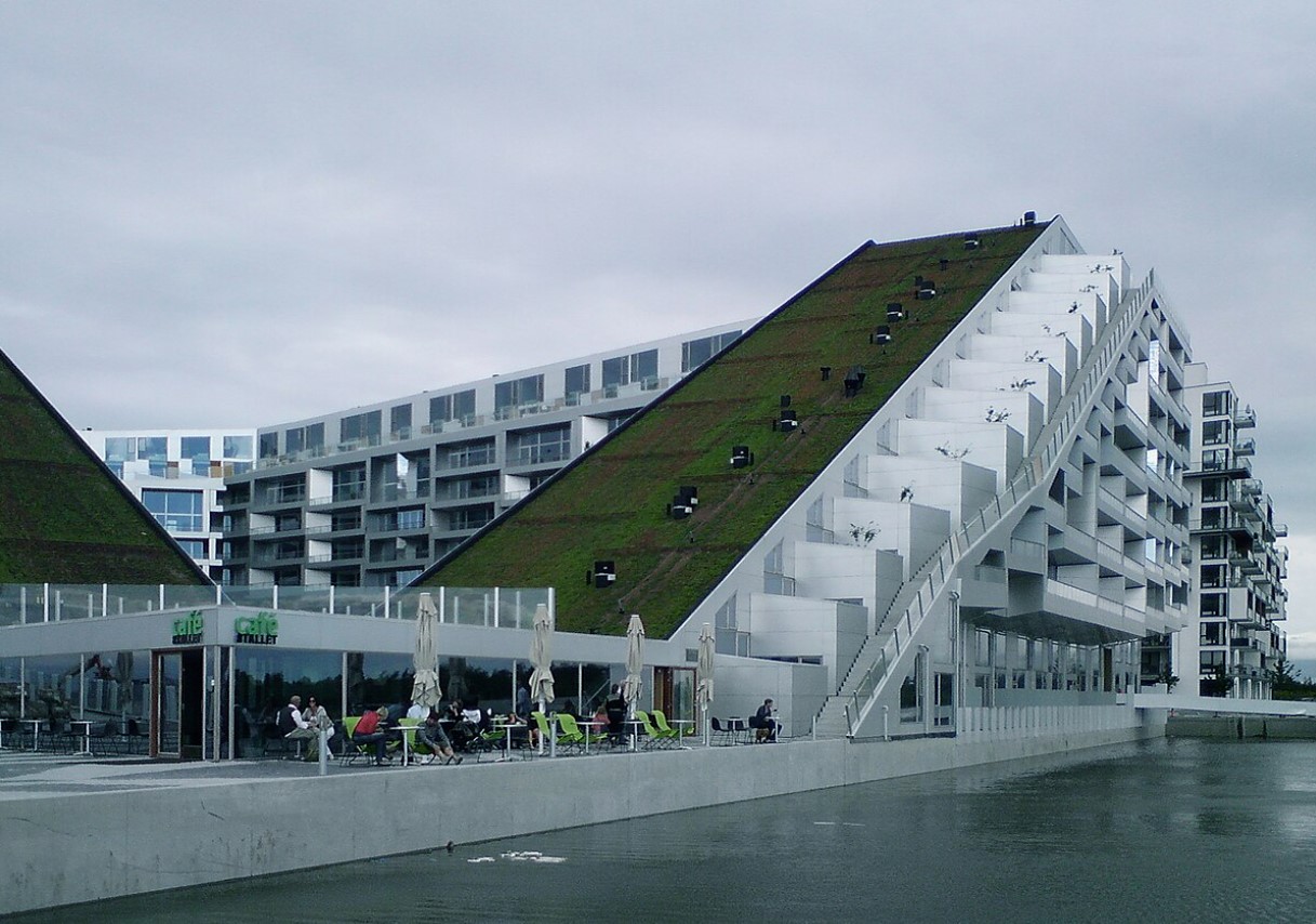 En grøn revolution! Hvordan København forvandler hustage til økologiske oaser