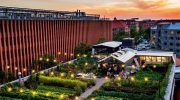 En grøn revolution! Hvordan København forvandler hustage til økologiske oaser