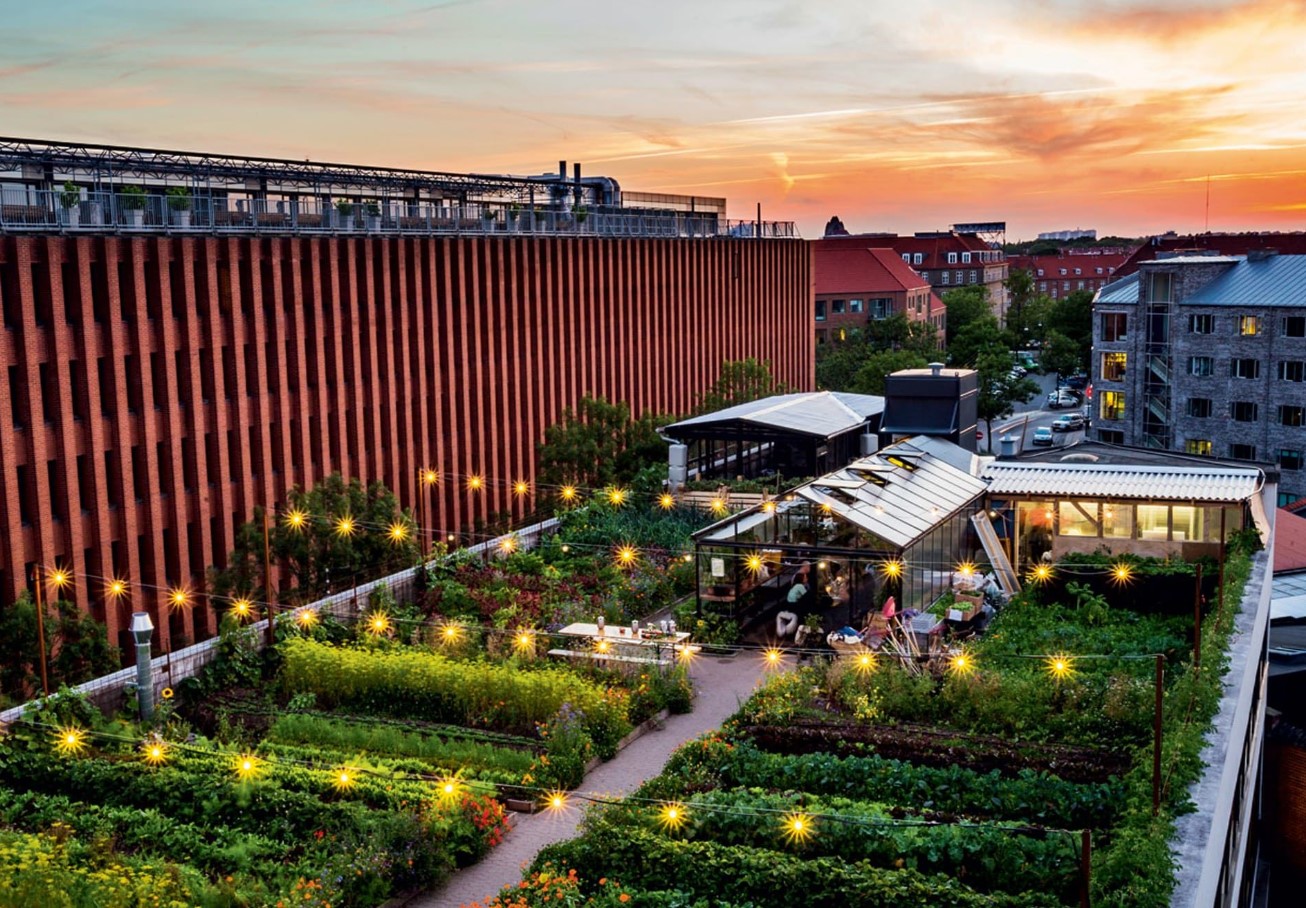 En grøn revolution! Hvordan København forvandler hustage til økologiske oaser