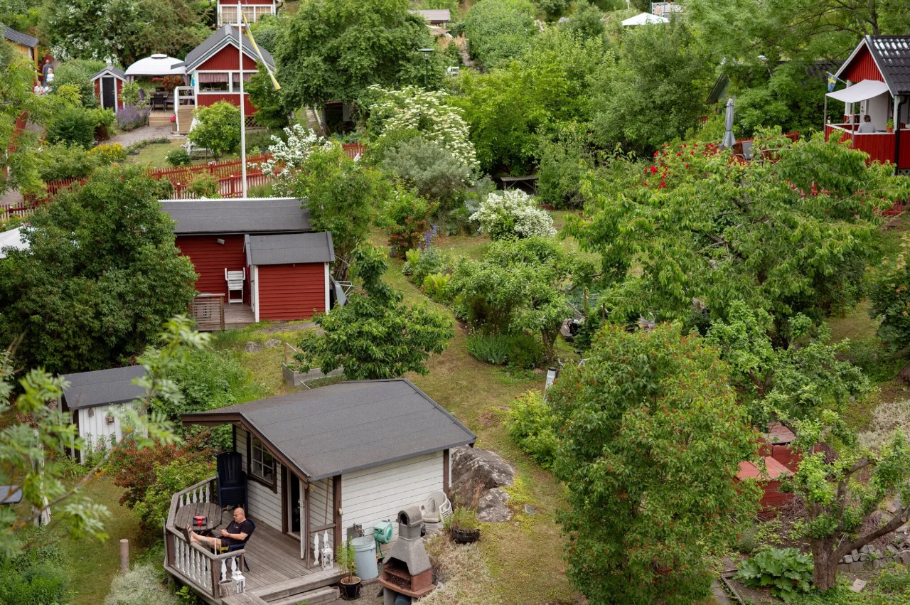Sveriges hemmelighed bag velvære? Små byhaver elsket af svenskerne