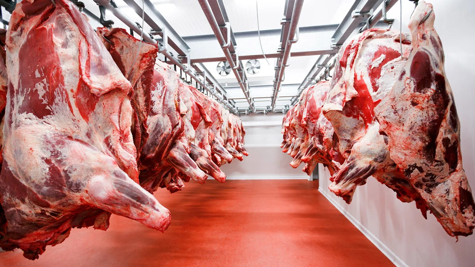 Rapport: den globale landbrugs- og fiskeproduktion vil vokse med 14 % inden 2034