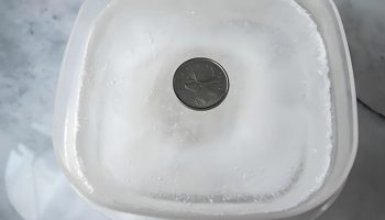 Hvorfor lægge en mønt i køleskabet: en simpel test, som alle danske husmødre bør kende