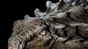 Han har ligget der i 110 millioner år uden at rådne: hvordan naturen har bevaret et forhistorisk væsen ned til mindste detalje