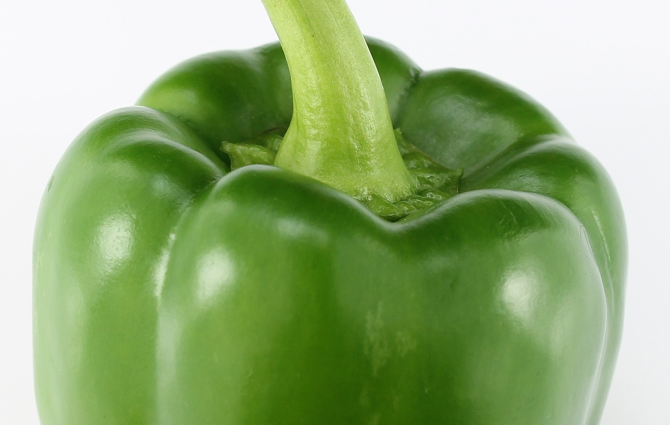 Paprika vokser nu mest: hvad skal man gøre for at få et stort udbytte?