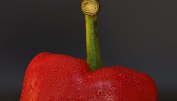 Paprika vokser nu mest: hvad skal man gøre for at få et stort udbytte?