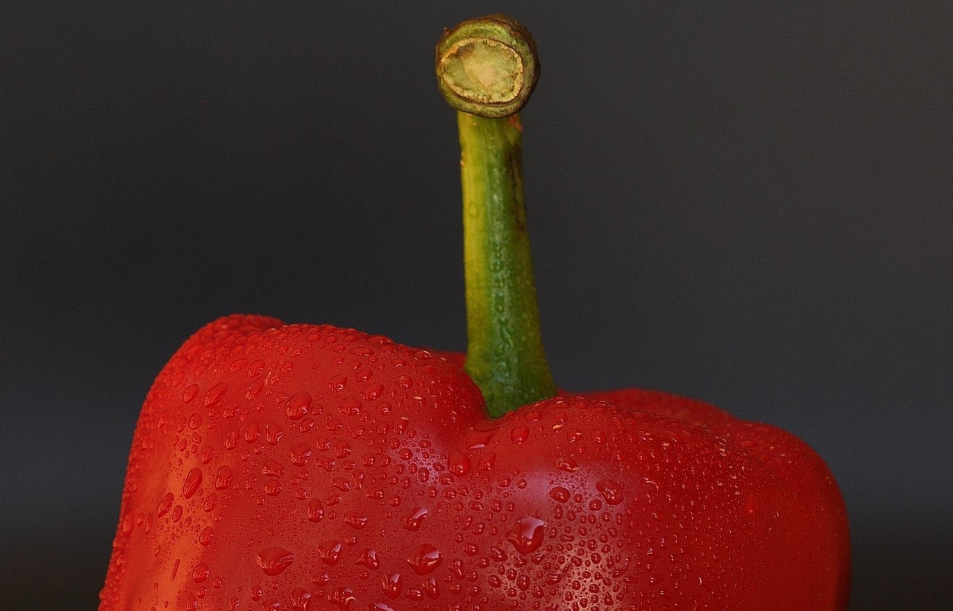 Paprika vokser nu mest: hvad skal man gøre for at få et stort udbytte?