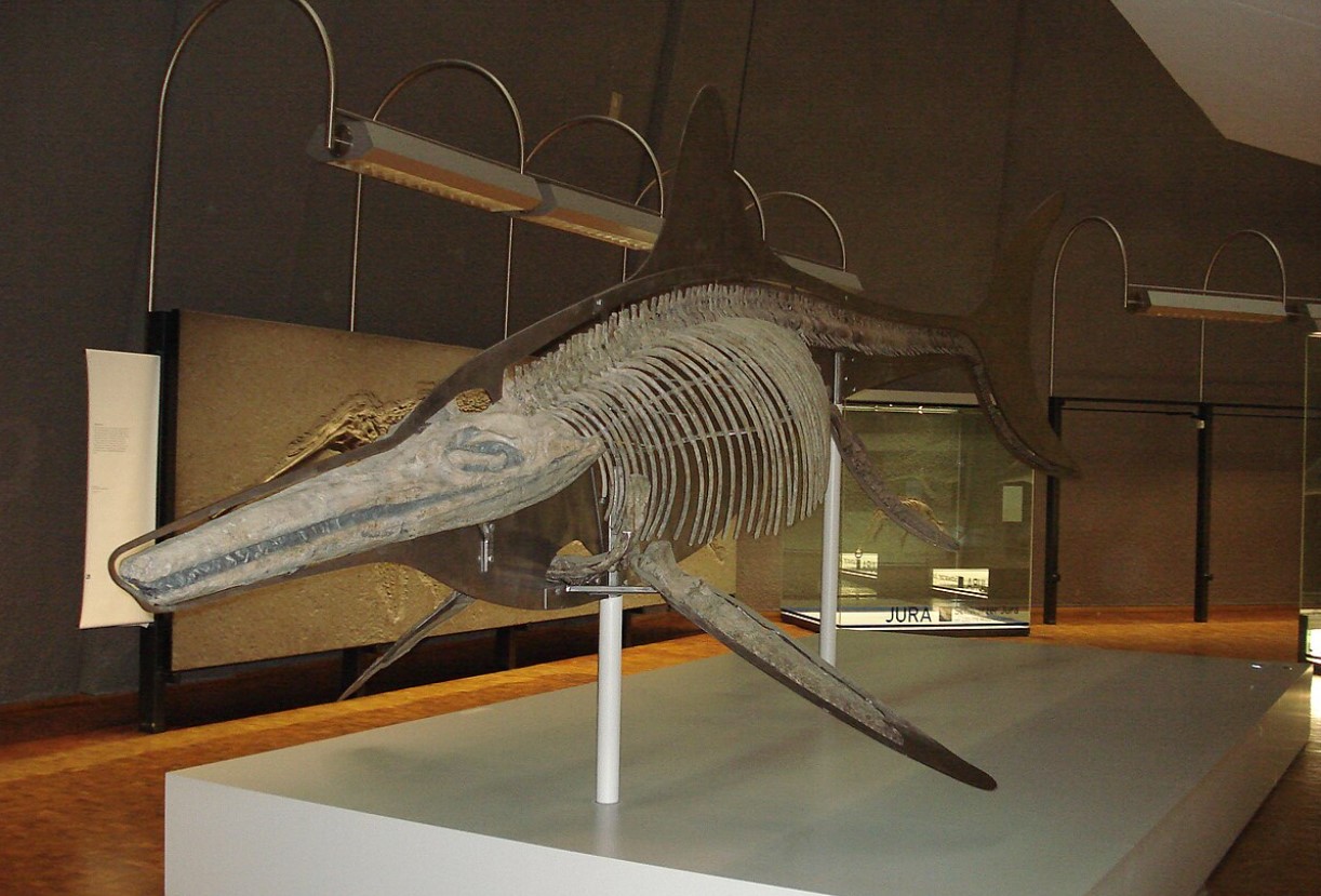 Dinosaurerne vender tilbage: jæger fra fortiden genopstår – ingen har fundet noget lignende i 180 millioner år