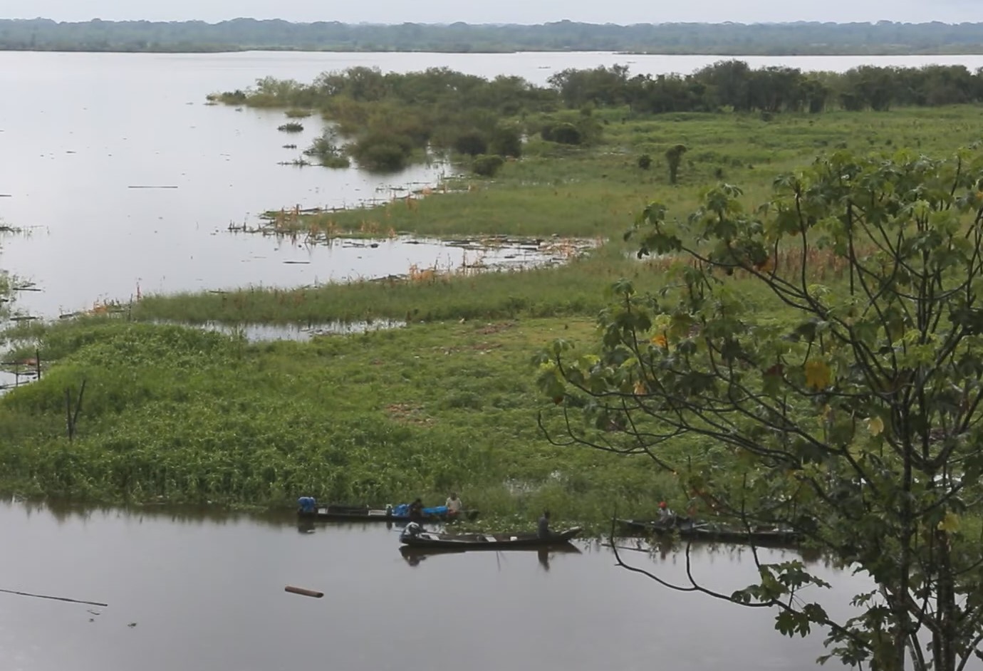 Et tørvemark i Amazonas er holdt op med at absorbere kulstof. Hvad betyder det?