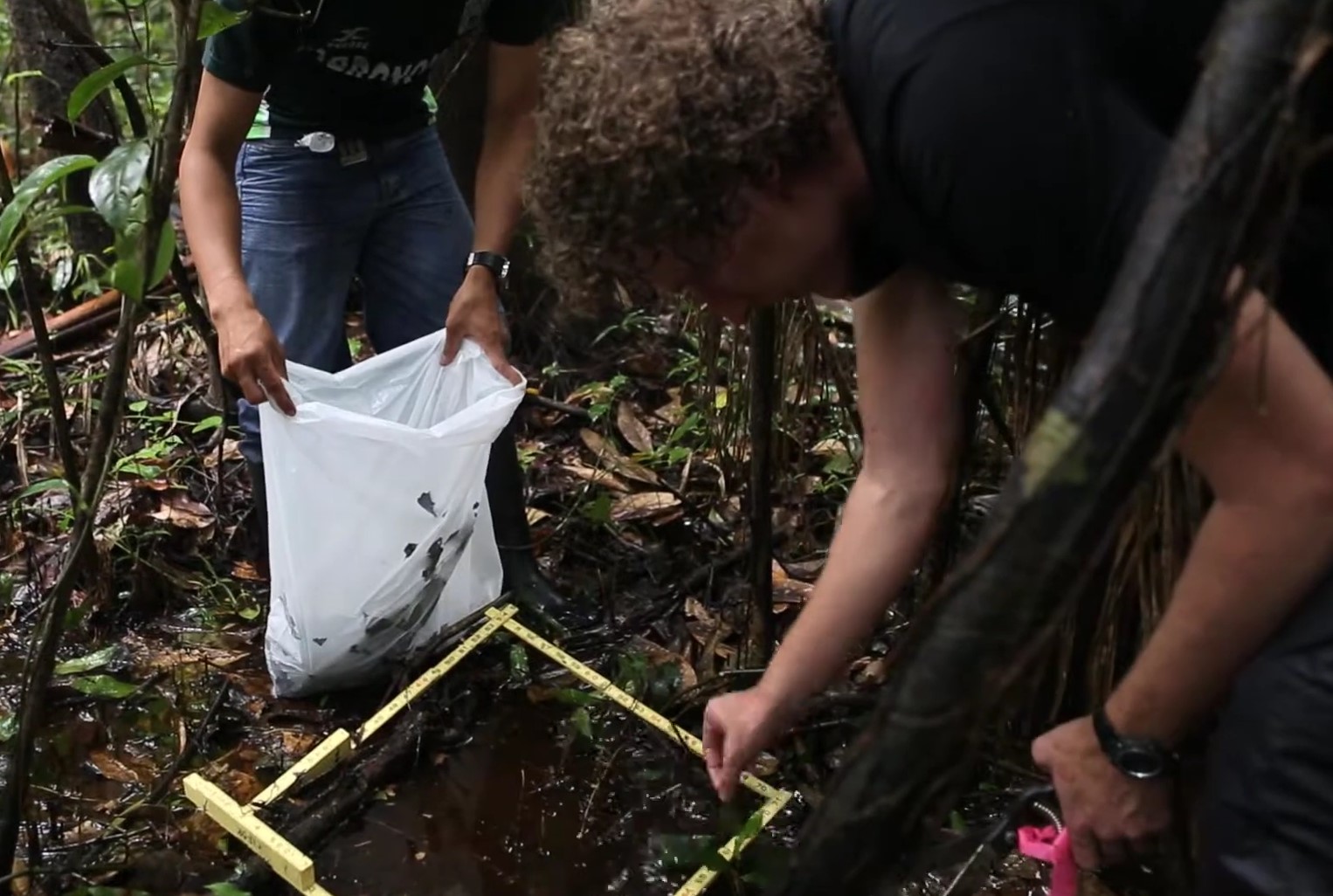 Et tørvemark i Amazonas er holdt op med at absorbere kulstof. Hvad betyder det?