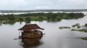 Et tørvemark i Amazonas er holdt op med at absorbere kulstof. Hvad betyder det?