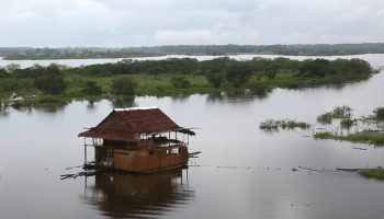 Et tørvemark i Amazonas er holdt op med at absorbere kulstof. Hvad betyder det?