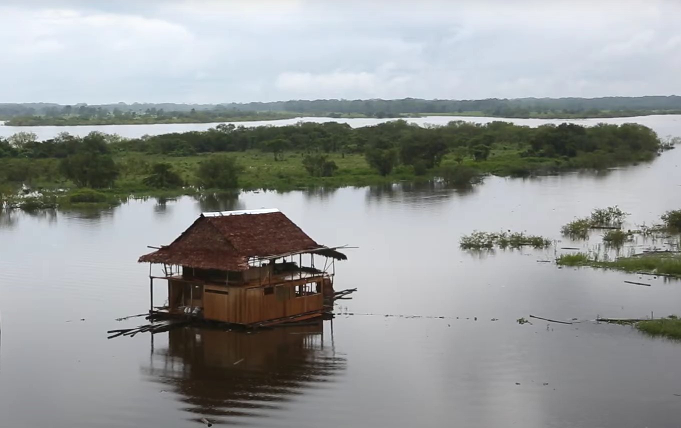 Et tørvemark i Amazonas er holdt op med at absorbere kulstof. Hvad betyder det?