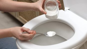 Eksperter har fortalt os, hvorfor man skal hælde et glas salt i toilettet: hvordan dette trick kan spare tid