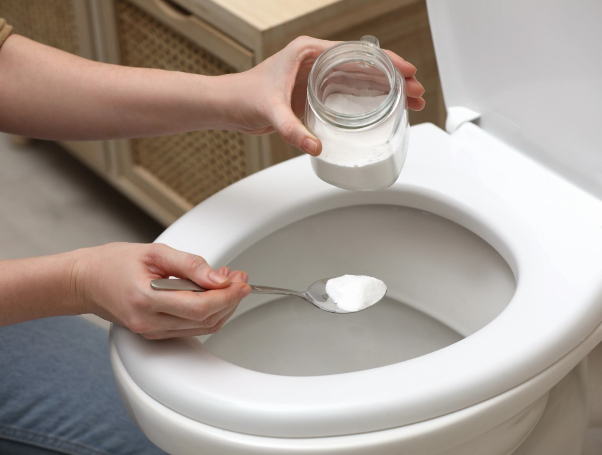 Eksperter har fortalt os, hvorfor man skal hælde et glas salt i toilettet: hvordan dette trick kan spare tid