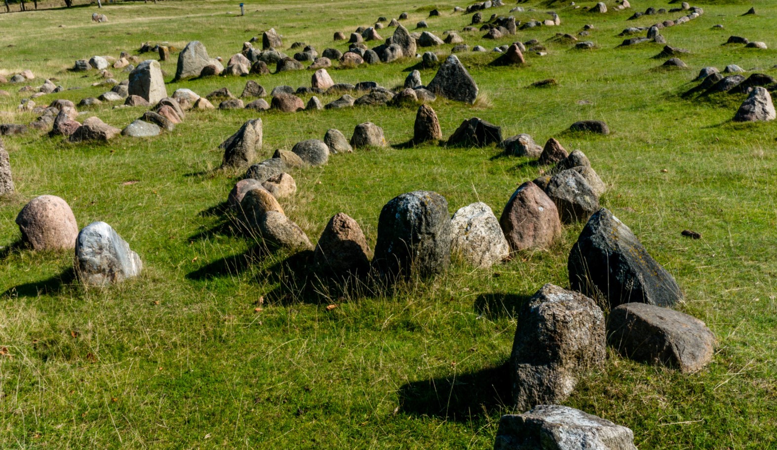 Mysteriet under den danske mark: hvad en gammel gravhøj fortalte om Harald Blåtands magt
