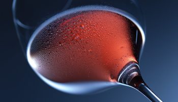 Sådan holder du vin frisk efter åbning: hemmeligheder og tips