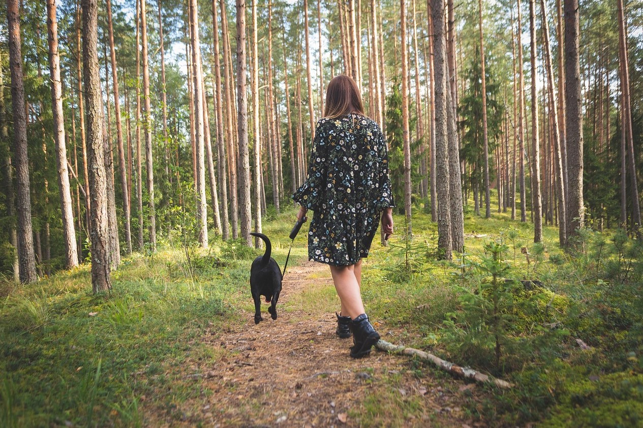 Gå eller cykle? Det er bedre for vægttabet