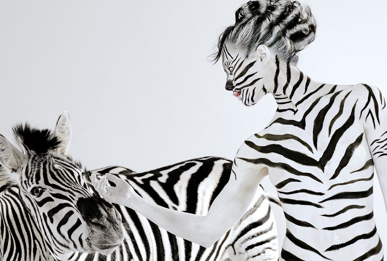 Hvorfor har zebraer striber? Det vidste du helt sikkert ikke