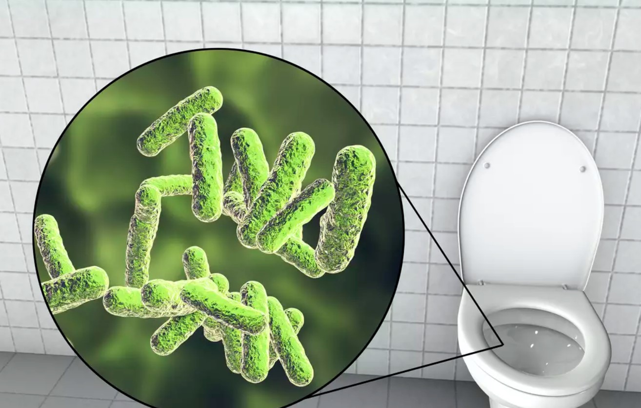 Udskylning af toiletkummen skaber en sky af bakterier: sådan påvirker det dit helbred