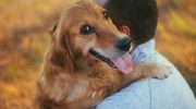 Hvorfor dit humør påvirker din hund: den følelsesmæssige forbindelse – hvordan det fungerer
