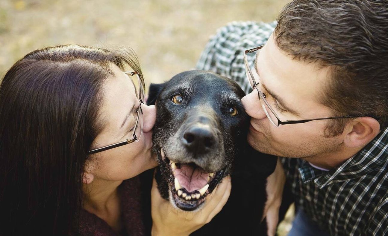 Hvorfor dit humør påvirker din hund: den følelsesmæssige forbindelse – hvordan det fungerer