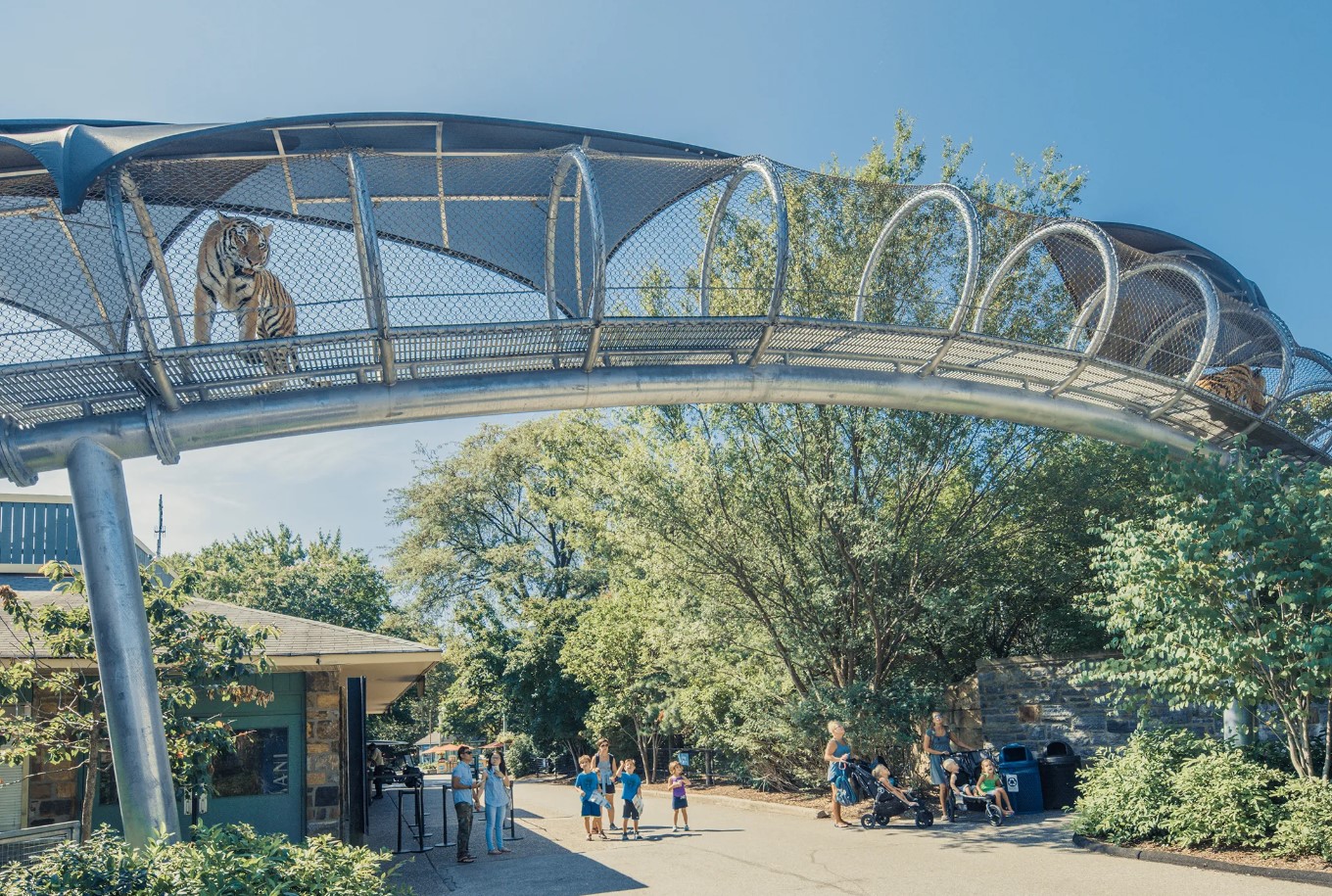 Virtuelle jungler og savanner: en ny zoo bryder med de gamle regler